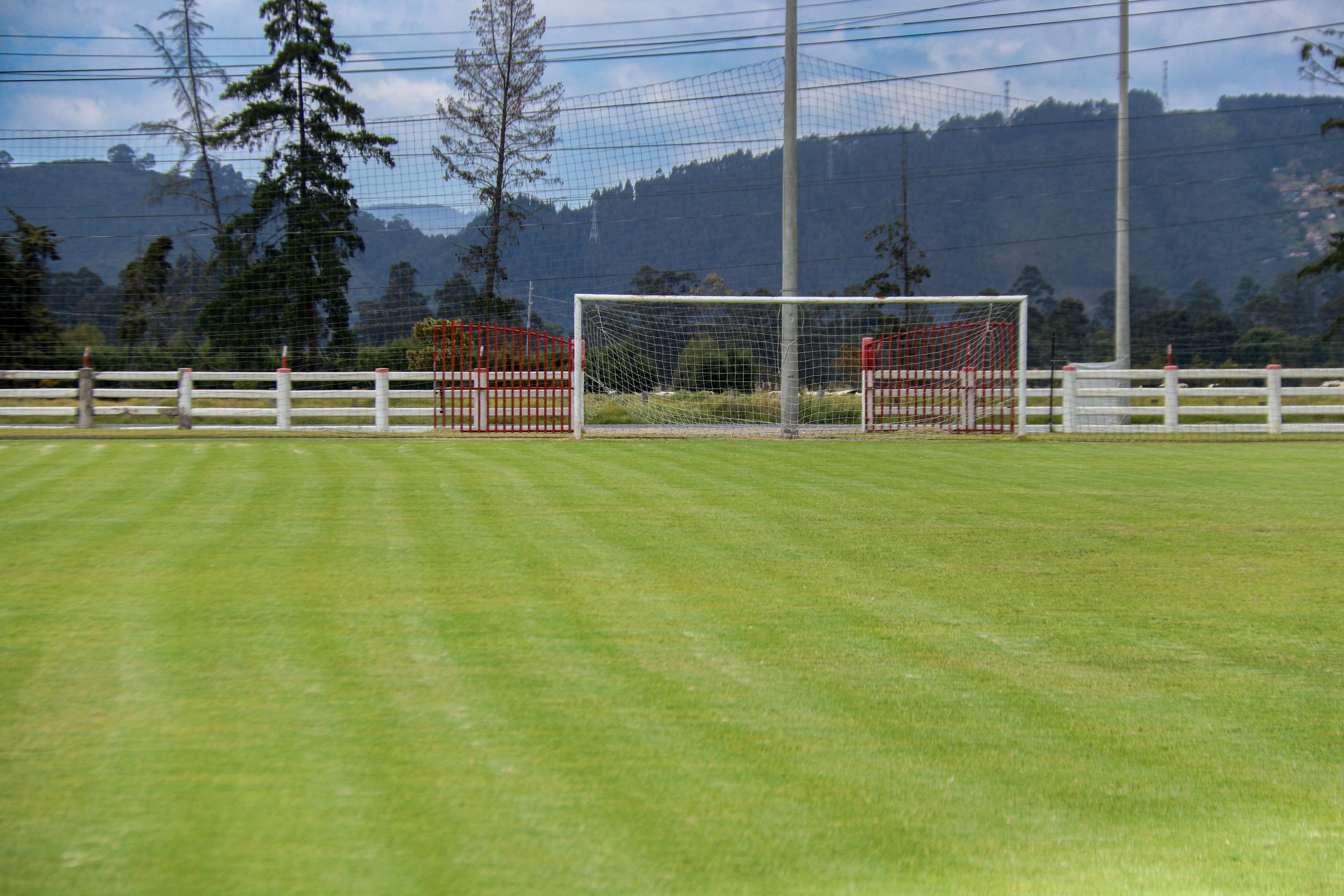 Cancha de fútbol 11 con césped natural bien cuidado en Profutbol JC.